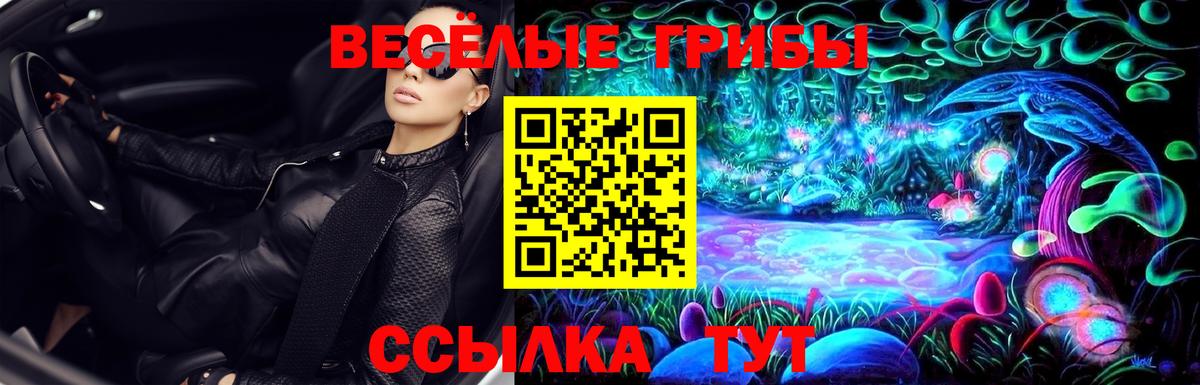 Галлюциногенные грибы GOLDEN TEACHER Борзя