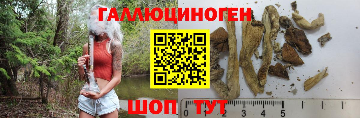 Борзя  где найти   Вход с VPN  Галлюциногенные грибы мухоморы 